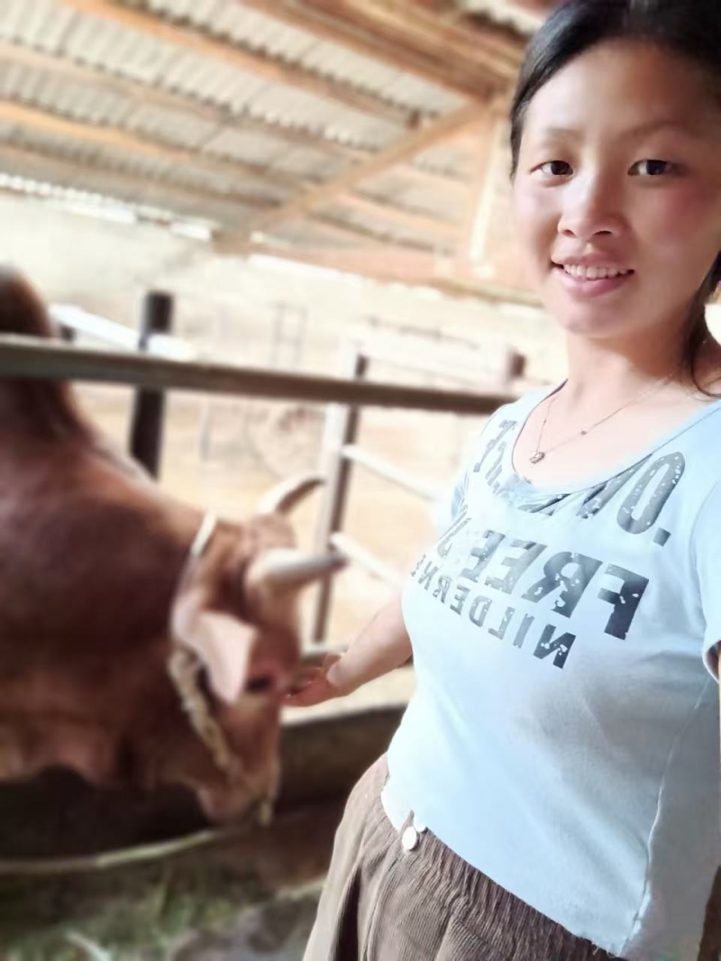 赵棠
